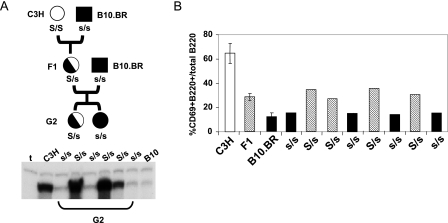 FIG. 8.