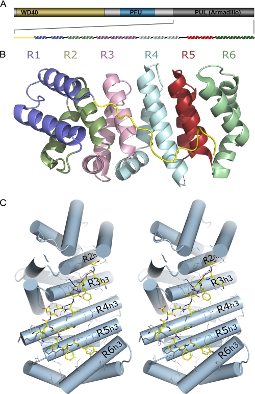 FIGURE 1.