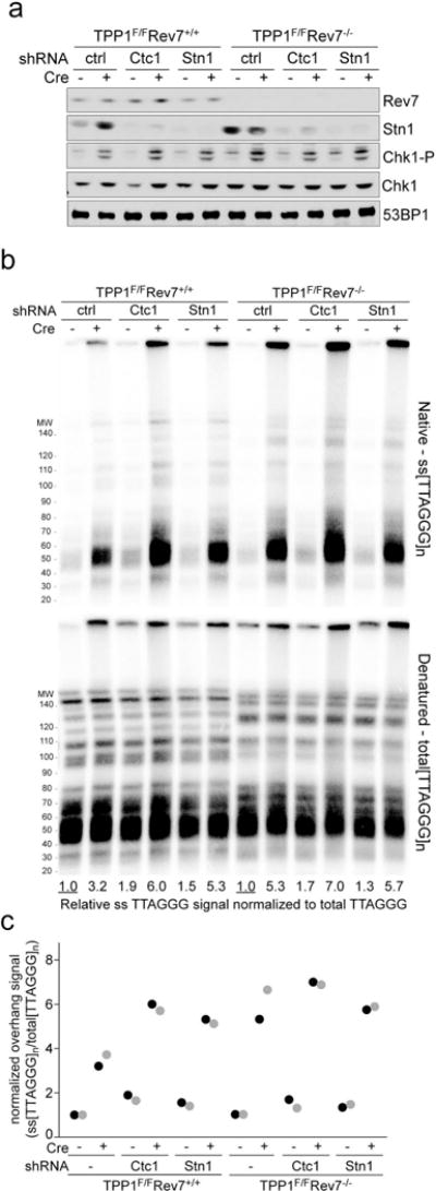 Extended Data Figure 2