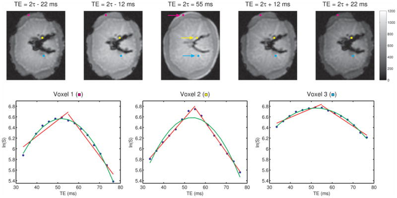 Fig. 2