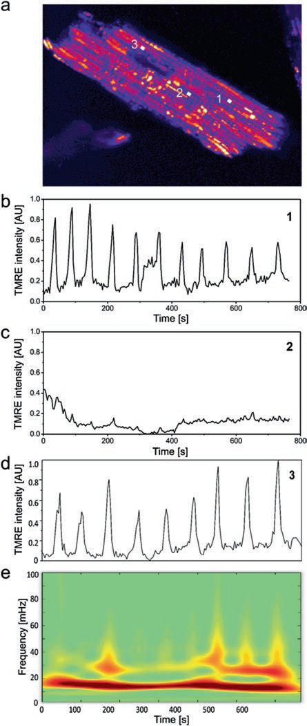 Fig. 1.1