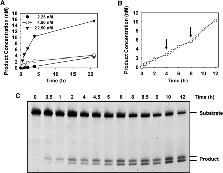 Figure 4.