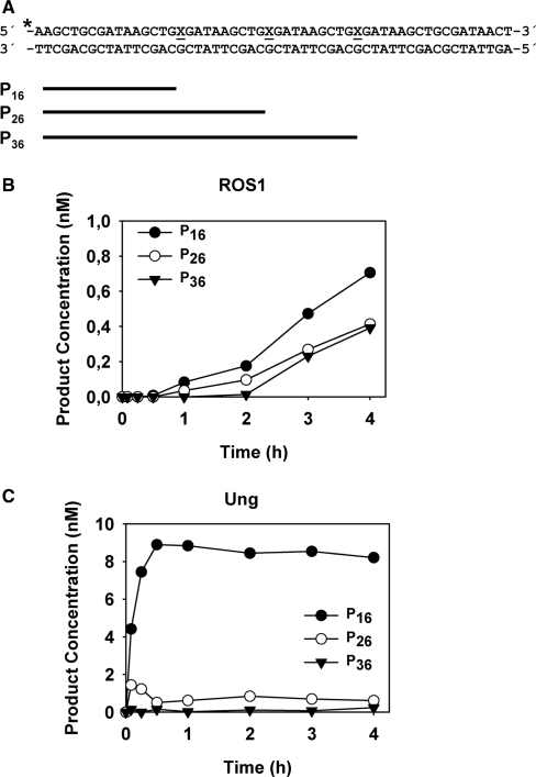 Figure 7.