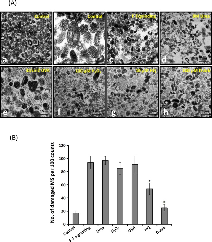 Fig 5