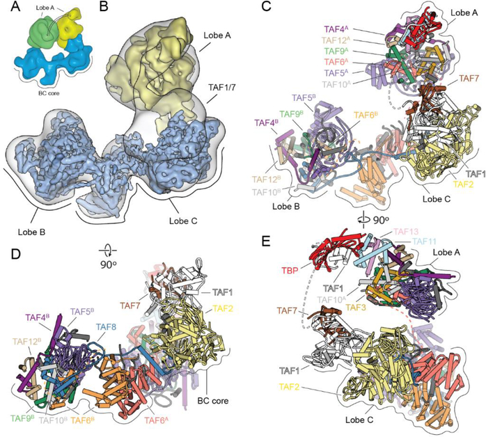 Fig. 1.