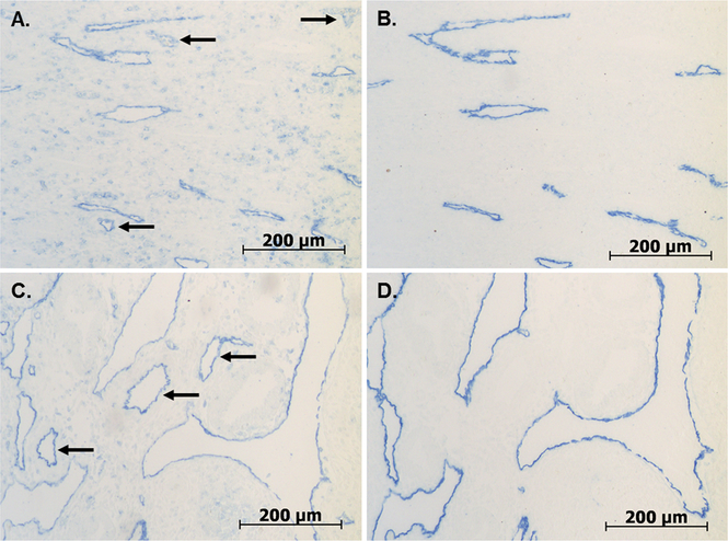 Fig. 16.