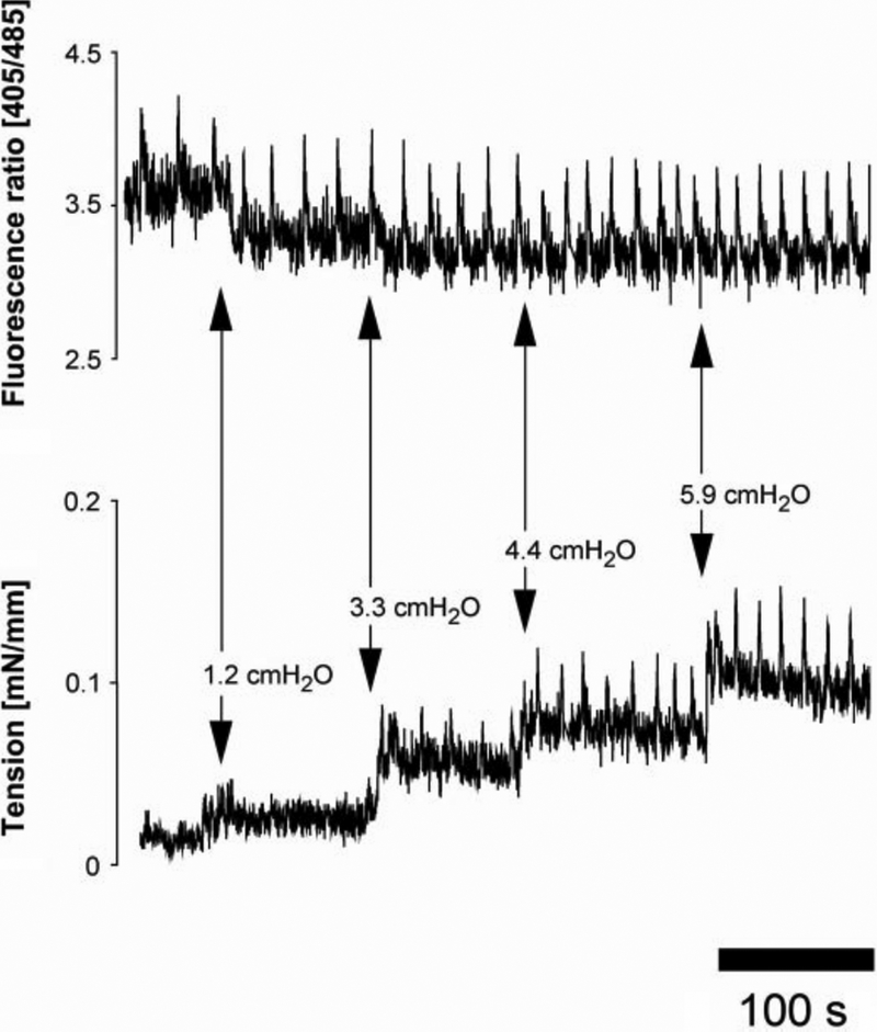Fig. 33.