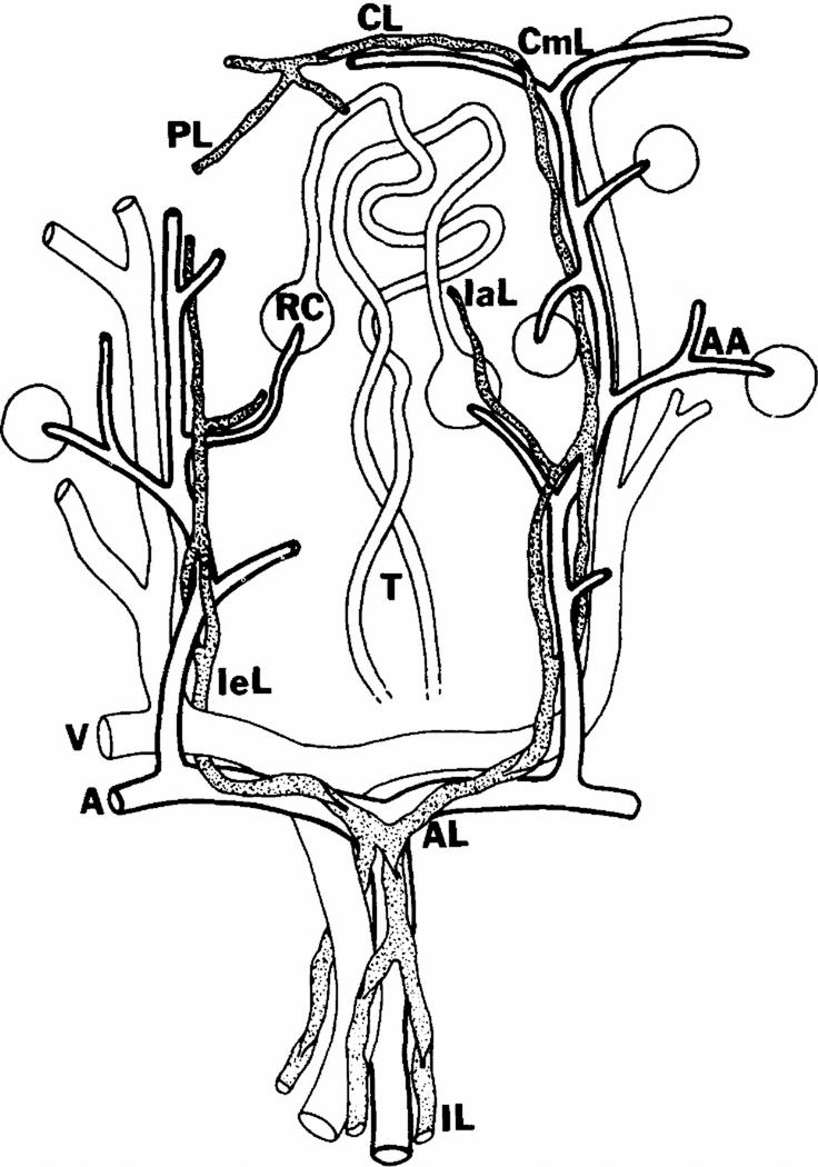 Fig. 22.