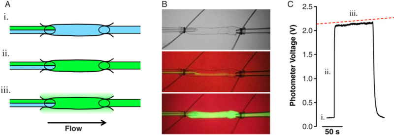 Fig. 34.