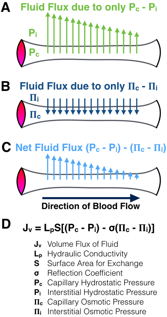 Fig. 26.