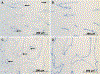 Fig. 16.