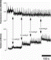 Fig. 33.
