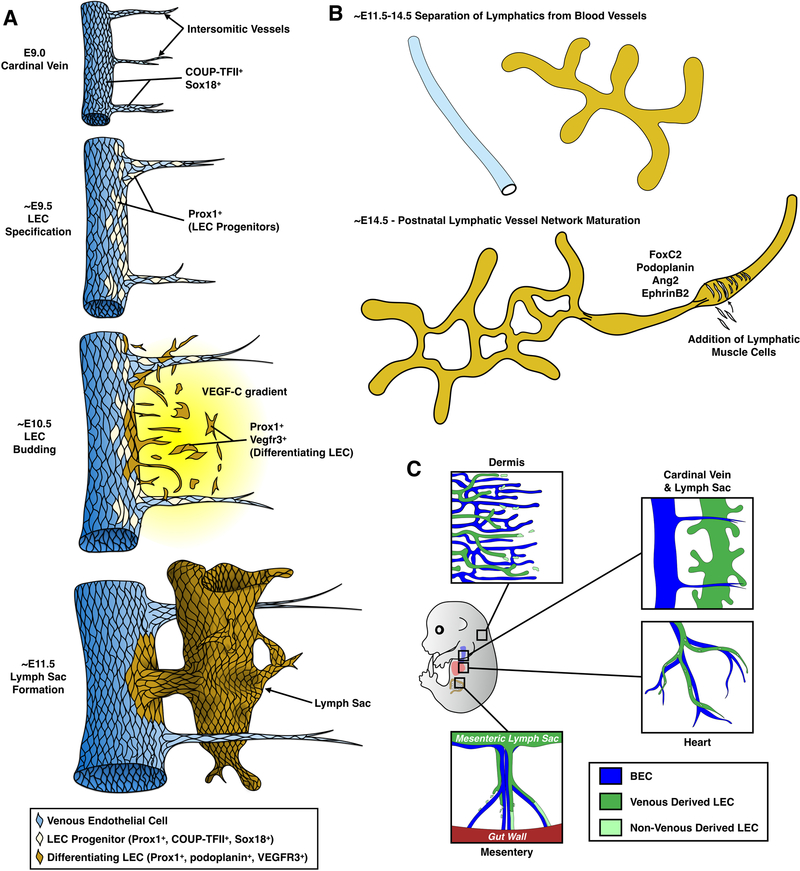 Fig. 23.