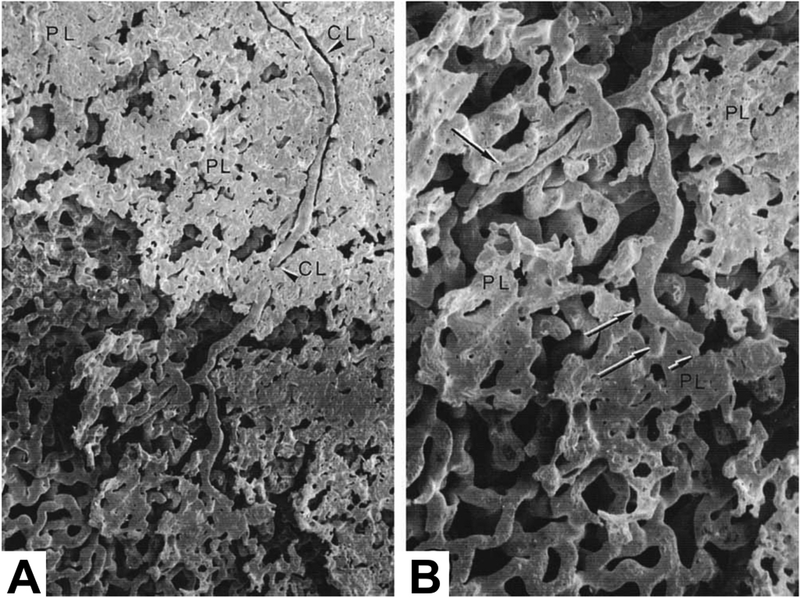 Fig. 20.