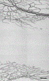 Fig. 25.