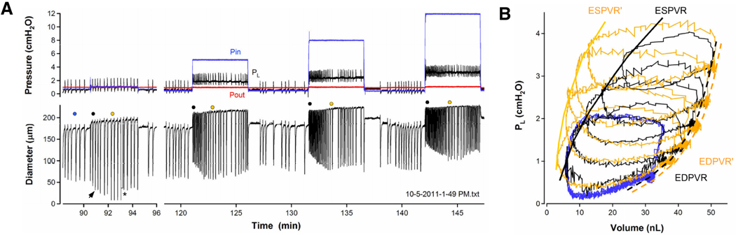 Fig. 30.