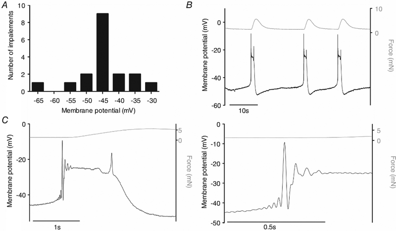 Fig. 29.