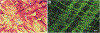 Fig. 18.