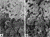 Fig. 20.