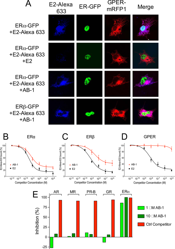 Figure 2.