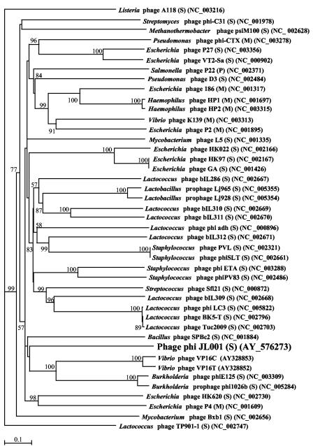 FIG. 7.