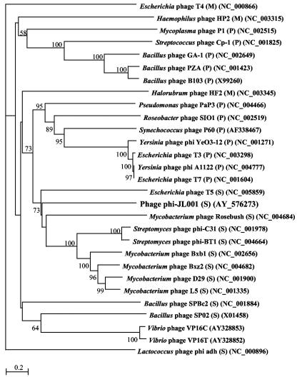 FIG. 6.