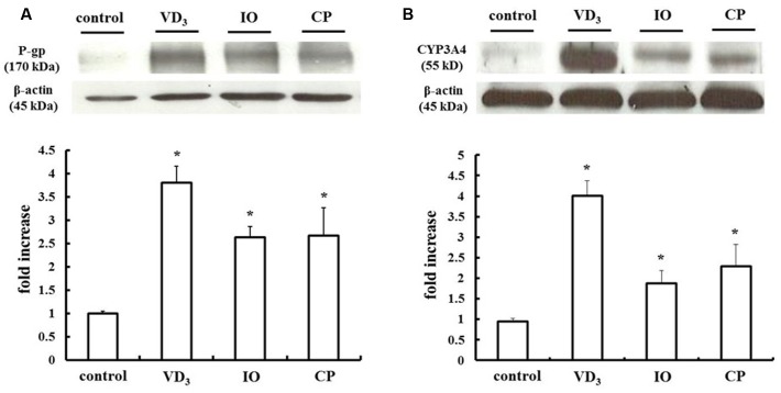 FIGURE 3