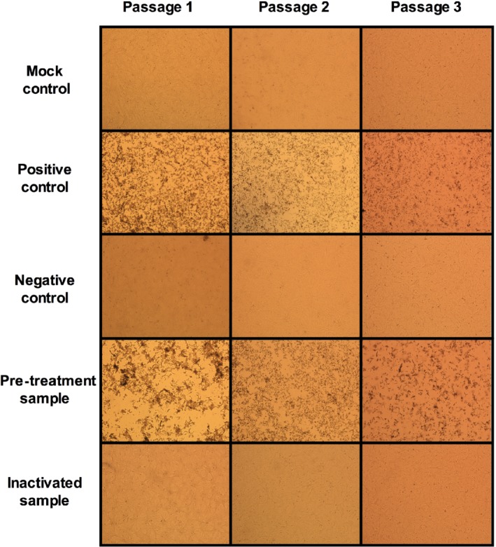 TME-12638-FIG-0003-c