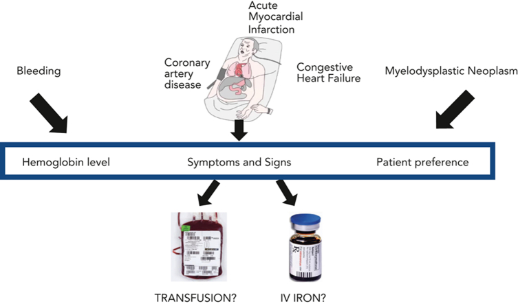 graphic file with name BLOOD_BLD-2022-018521-C-fx1.jpg