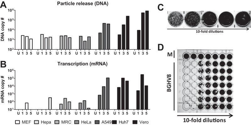 FIG 2 