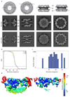 Extended Data Figure 1