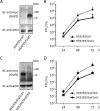 FIG 6