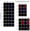 FIG 3