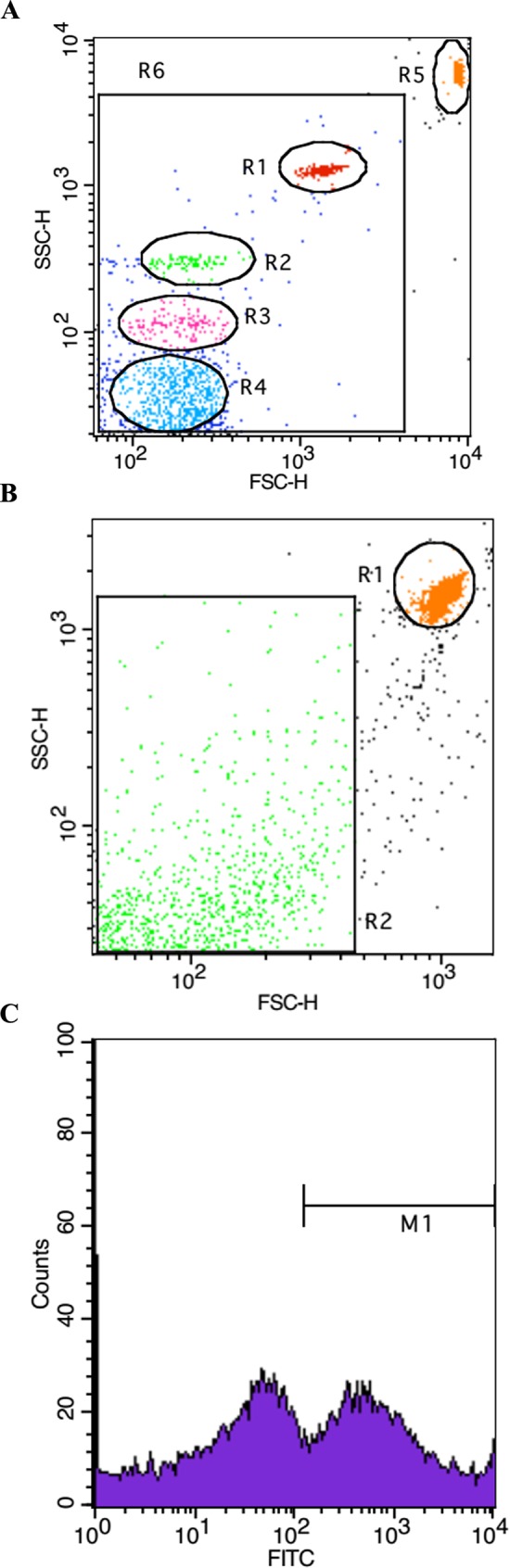 Fig 2