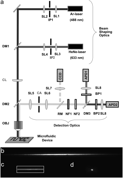 FIGURE 1