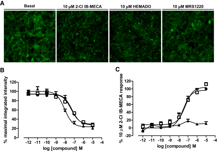 Figure 3