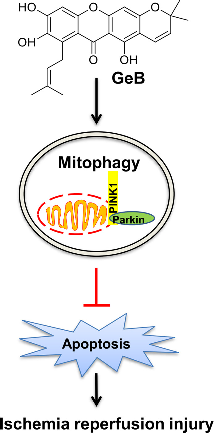 Fig. 6