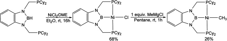 Scheme 1