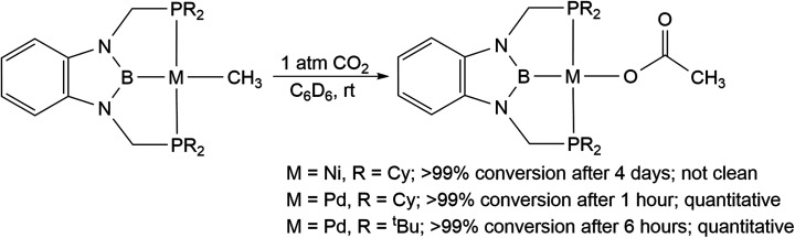 Scheme 3