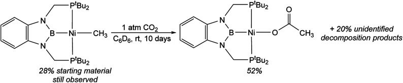 Scheme 4