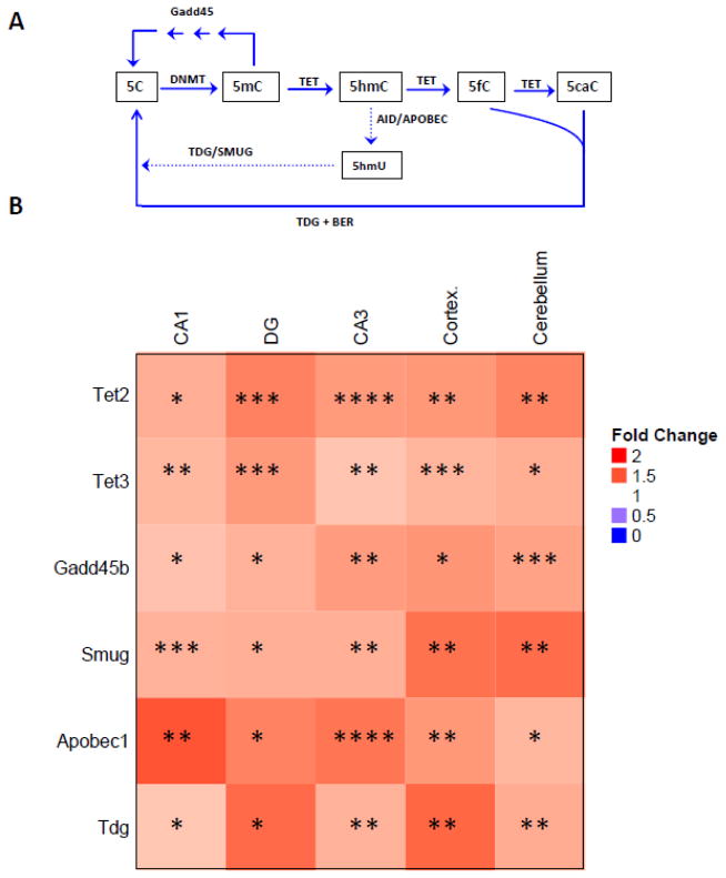 Figure 10