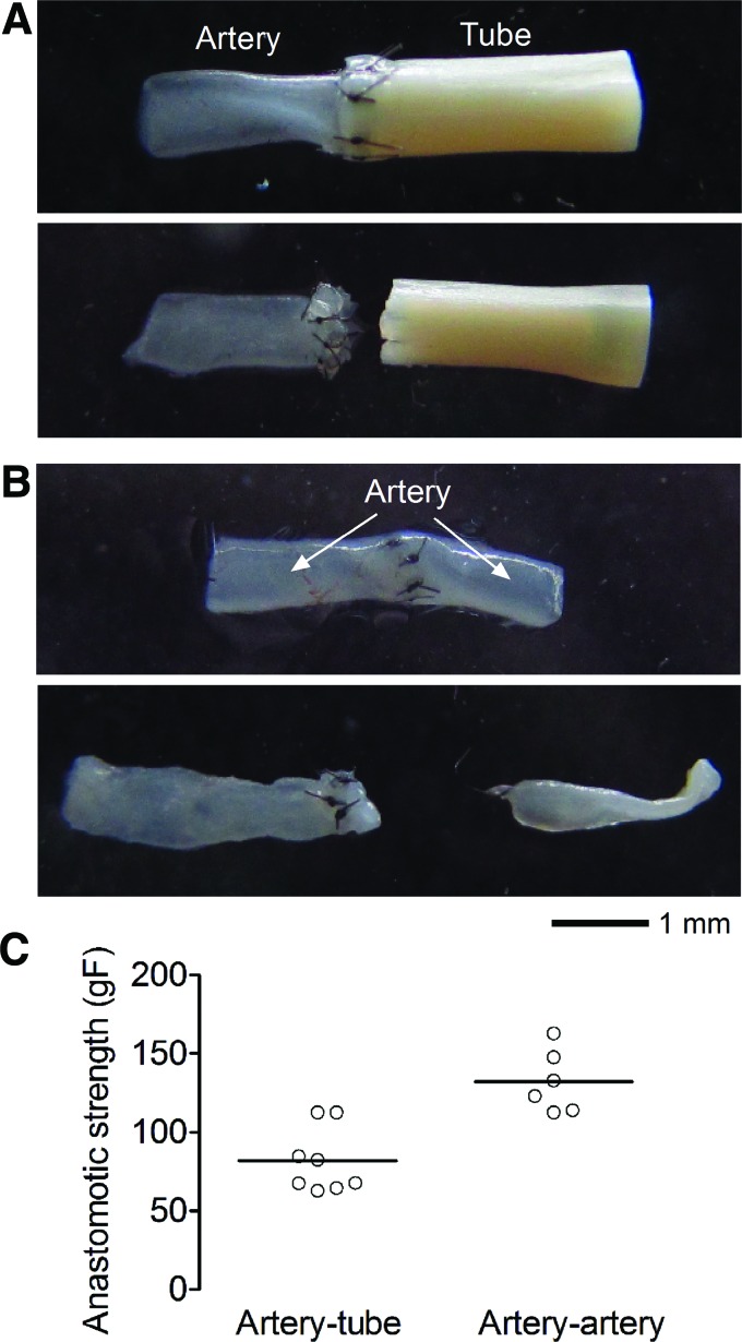 FIG. 5.