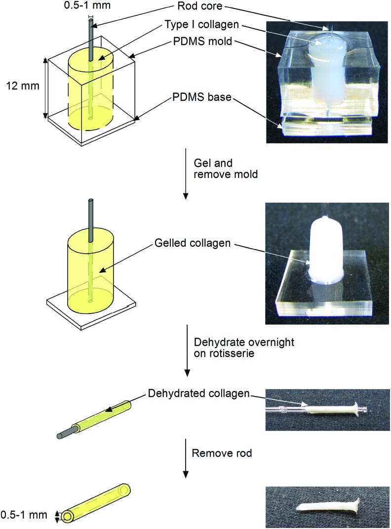 FIG. 1.