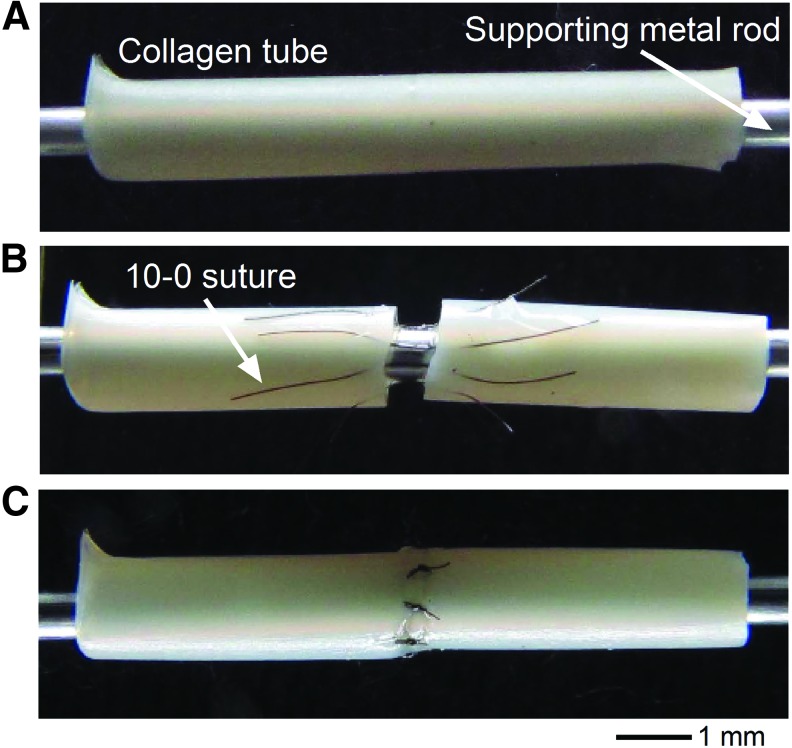 FIG. 2.