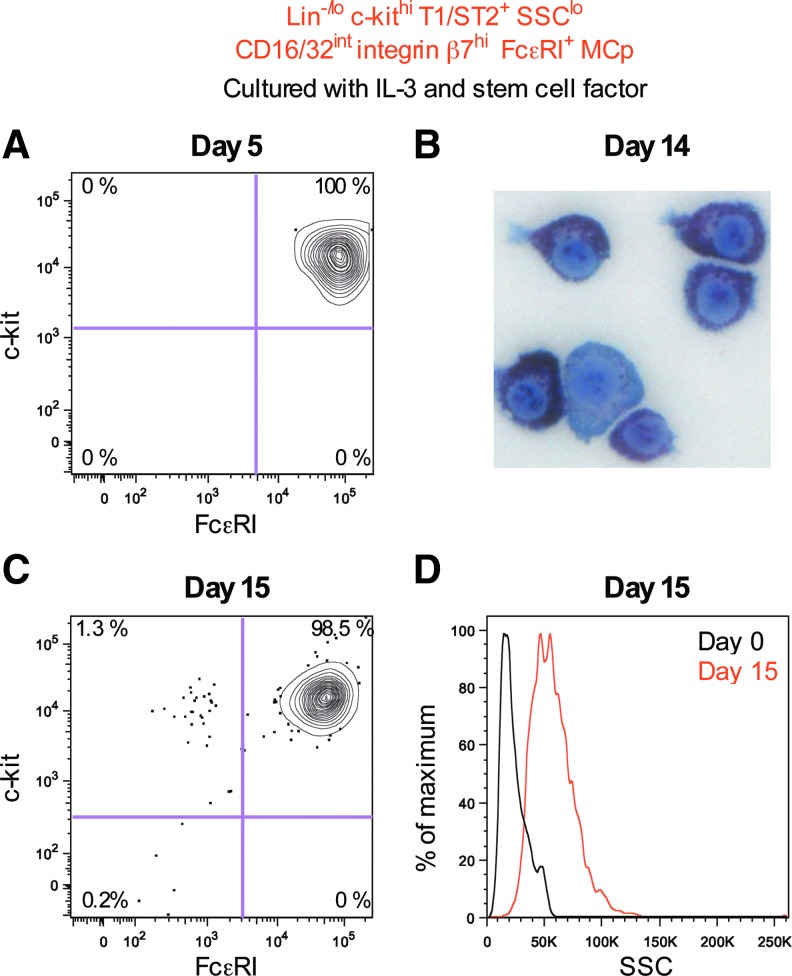 FIG. 3.