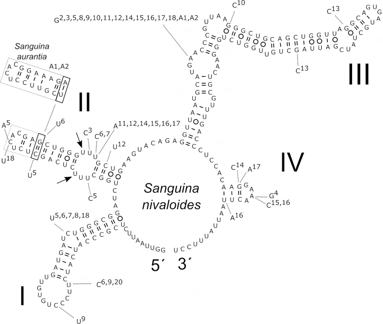 Figure 10.