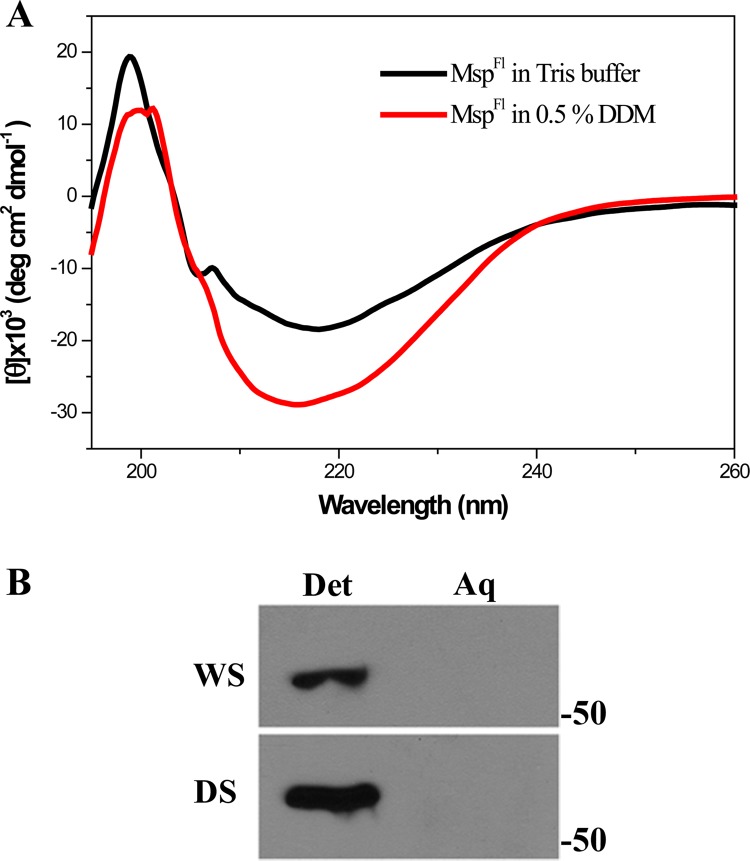 Fig 7