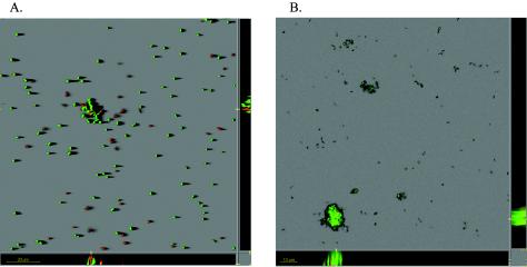 FIG. 4.