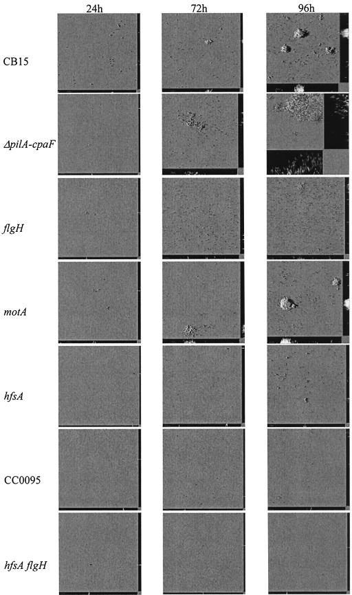 FIG. 6.