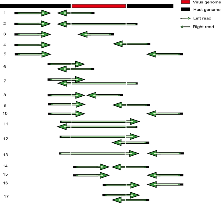 Figure 2: